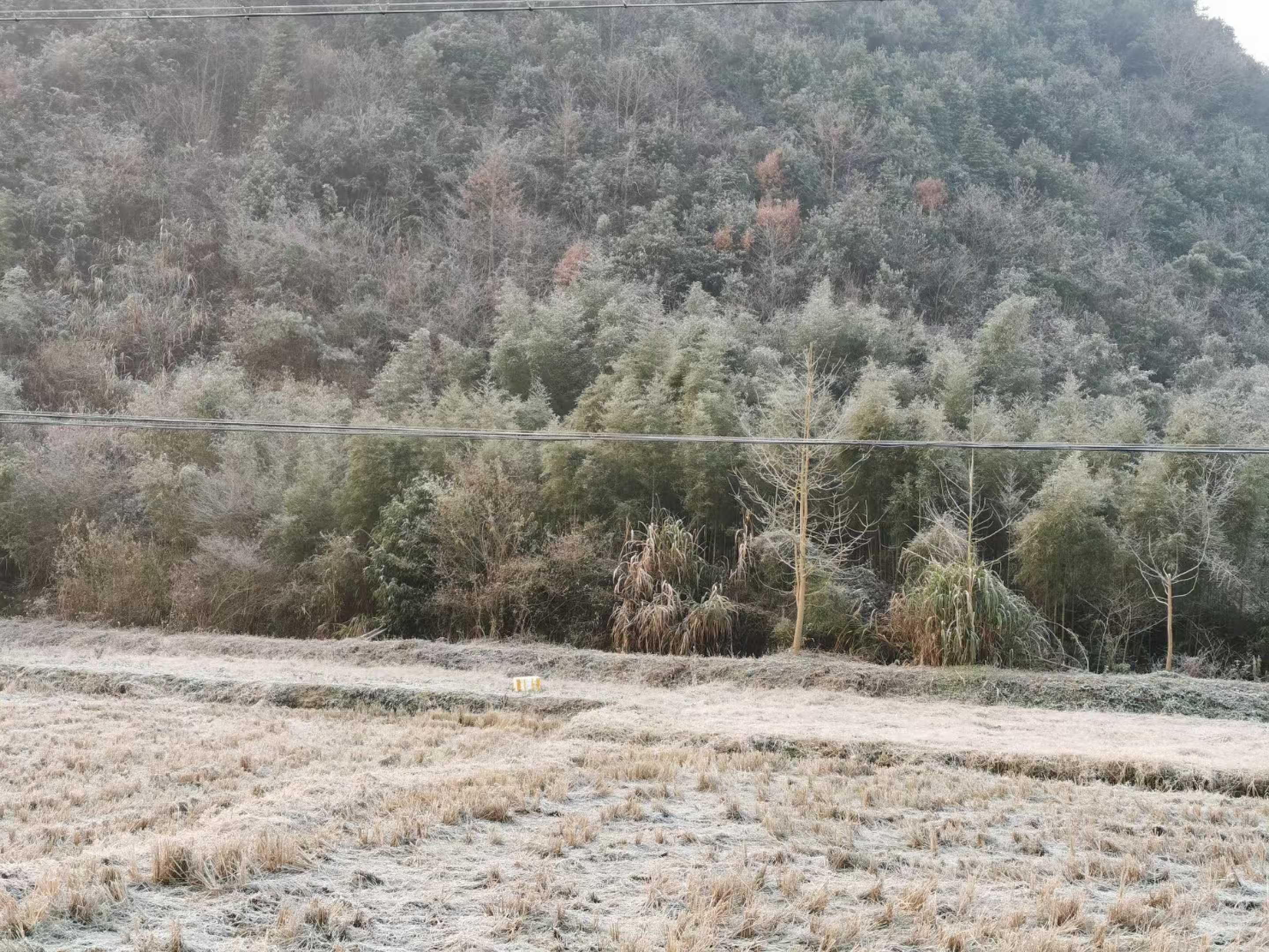 太阳公社-旅游观光度假