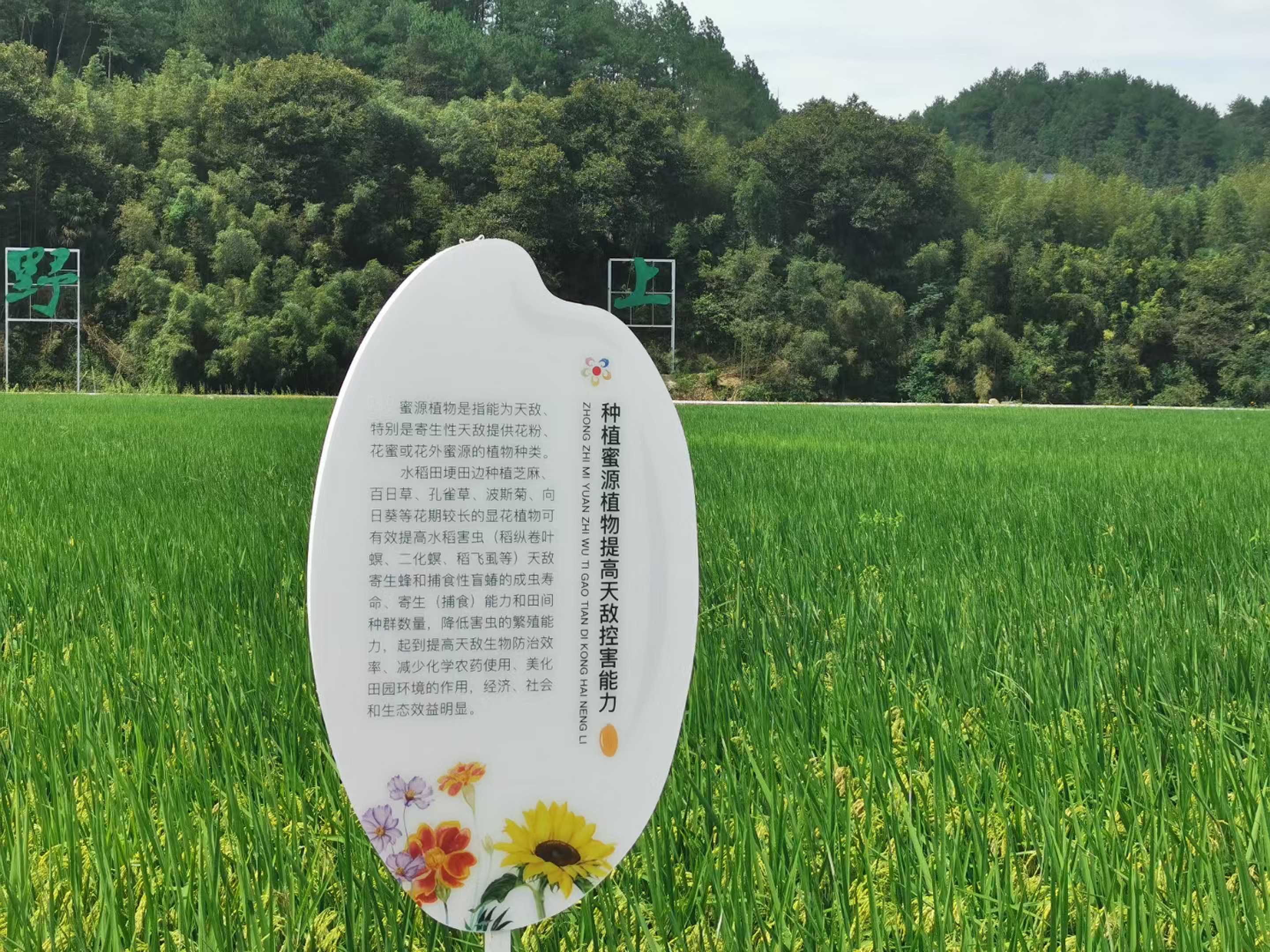 太阳公社-生态种植