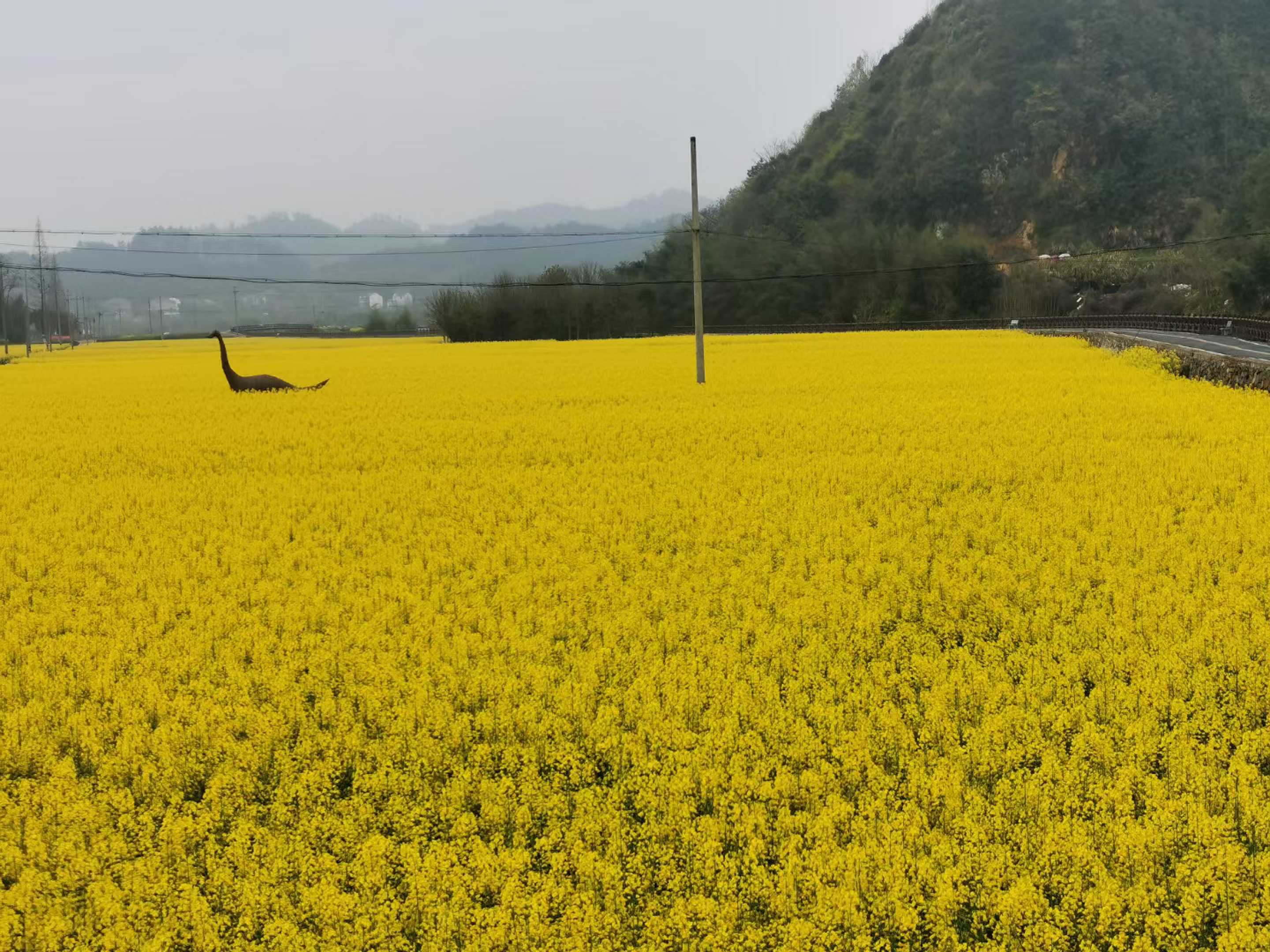 太阳公社生态社区：生态农场的实例_太阳公社旅游发展有限公司