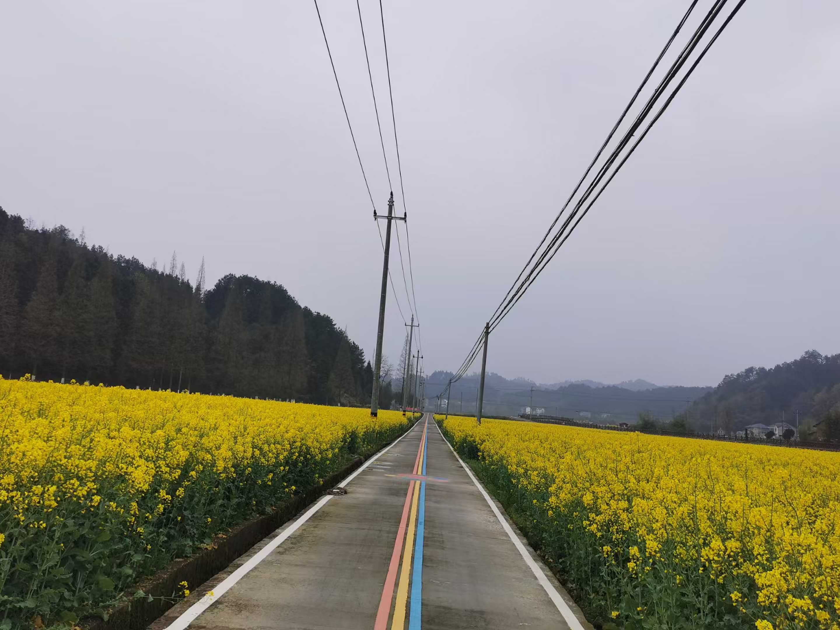 太阳公社生态农场，打造旅游新方式