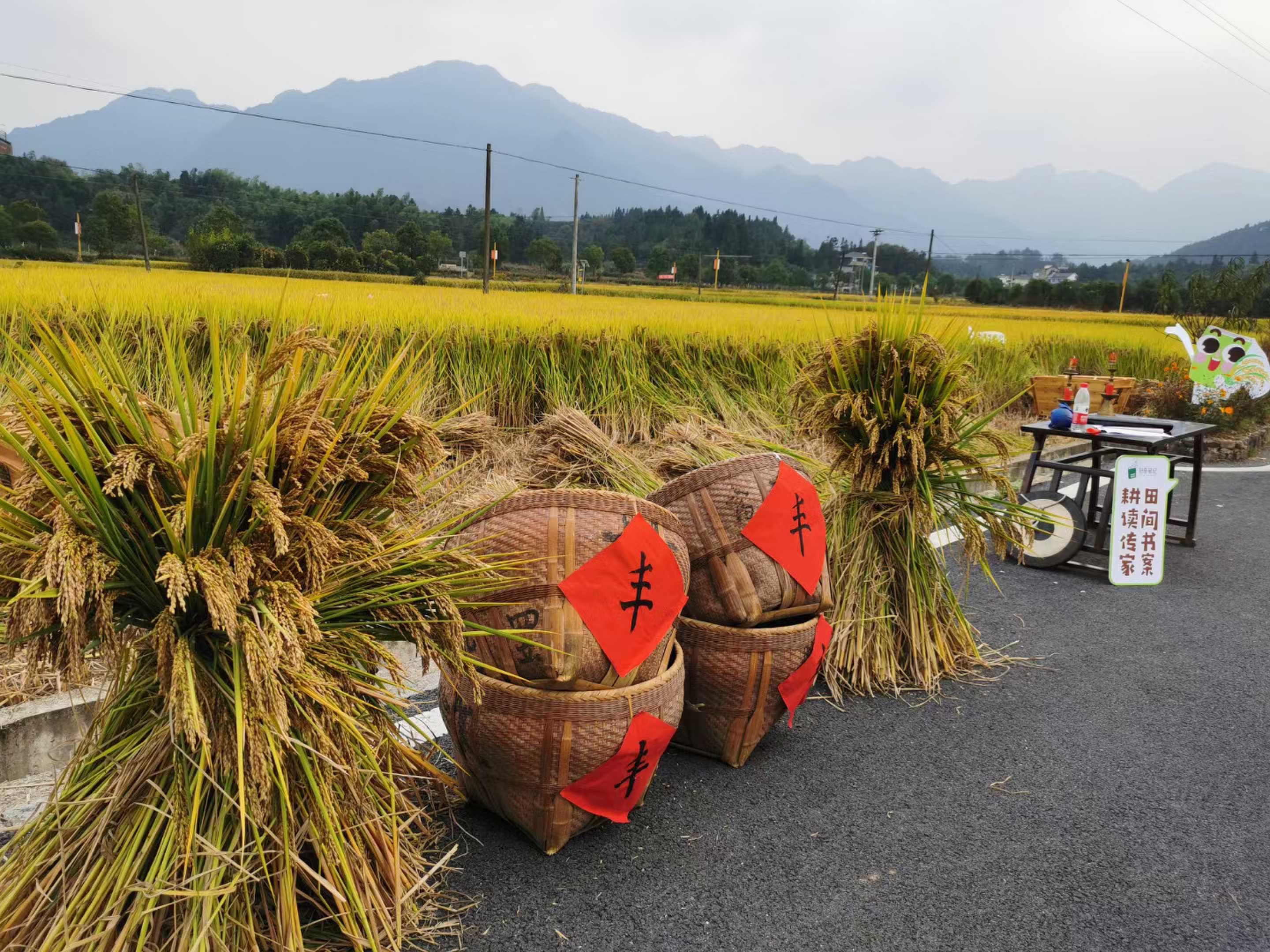 为什么要建生态农场？该怎么建？