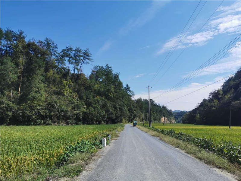 太阳公社 旅游度假 