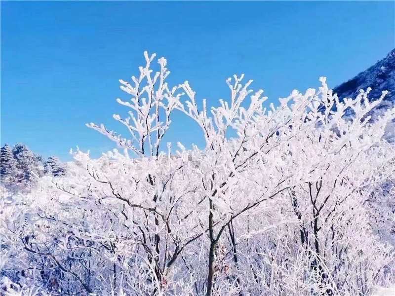太阳公社旅游观光度假冬季景色