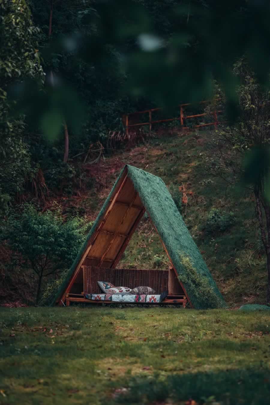 太阳公社树林中的奇妙周末